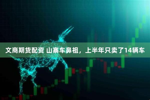 文商期货配资 山寨车鼻祖，上半年只卖了14辆车